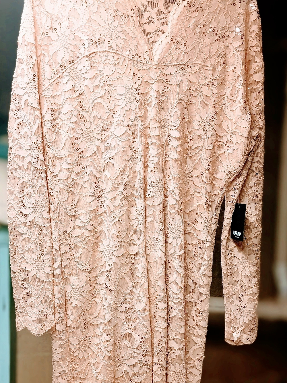 Nordstrom Blush Lace Sequin Dress